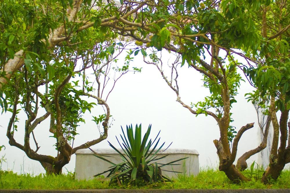 Casa Do Comendador Са́н-Ро́ке-ду-Пі́ку Екстер'єр фото